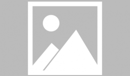 一级视频免费观看,免费观看一级视频的全新体验之旅